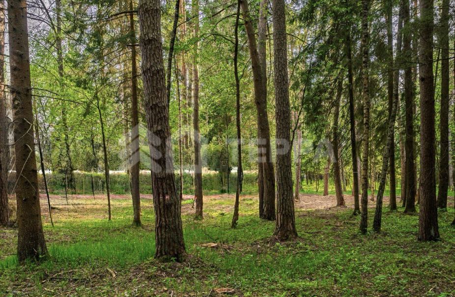 Объект ID 19097 - Участок