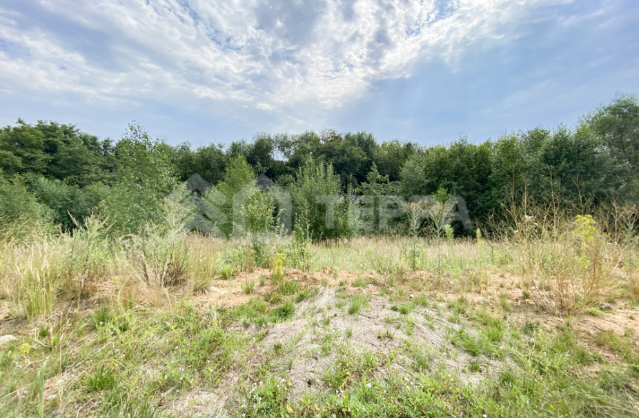 Объект ID 16601 - Дом