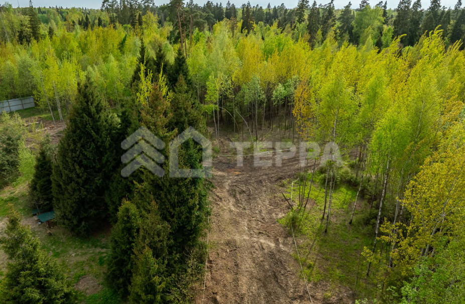 Объект ID 18568 - Участок