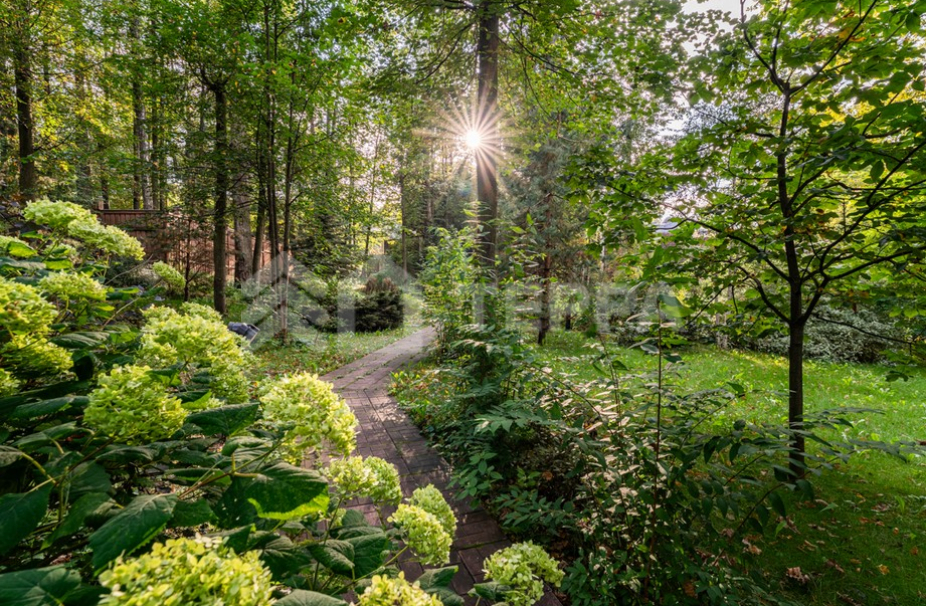 Объект ID 18906 - Дом