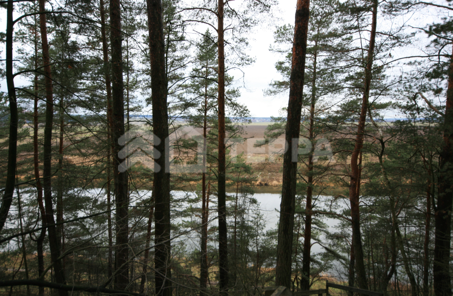 Объект ID 18703 - Участок