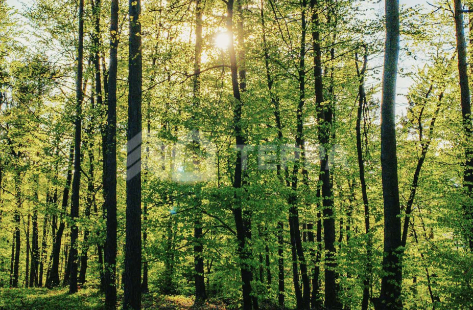 Объект ID 18033 - Дом