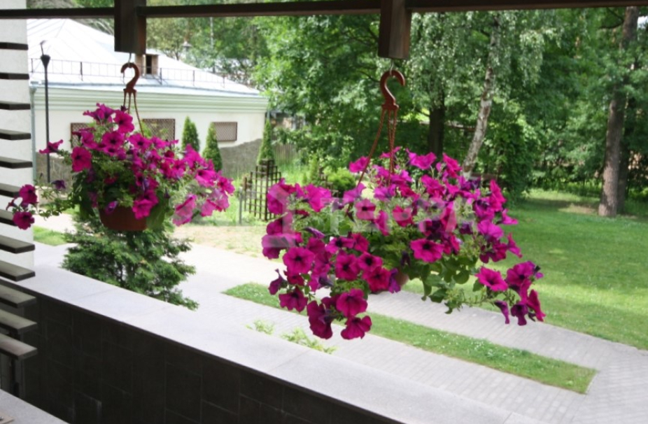 Объект ID 12319 - Квартира