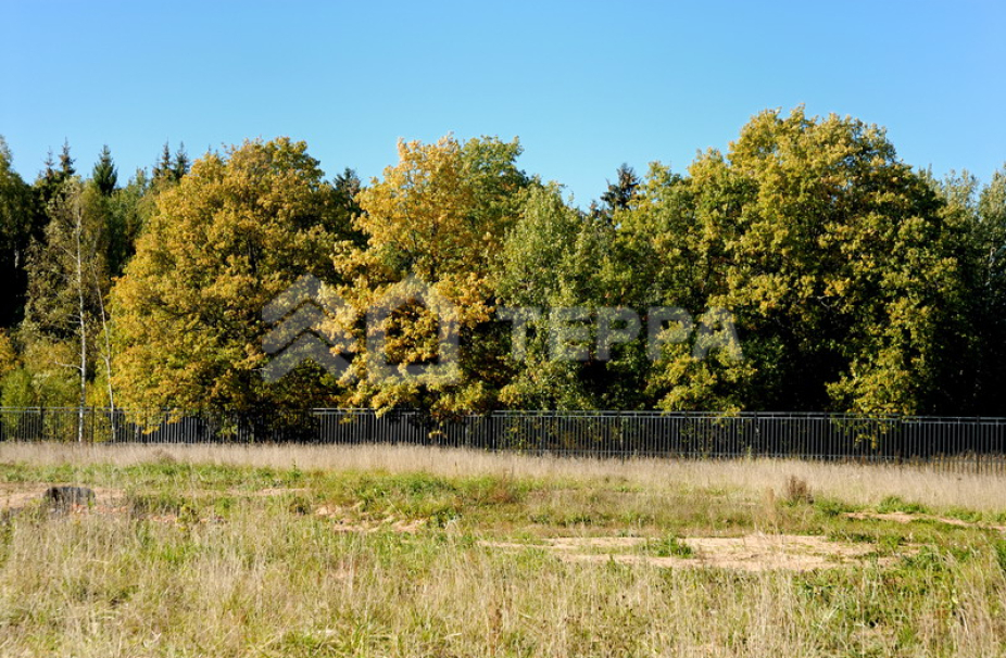 Объект ID 6224 - Участок