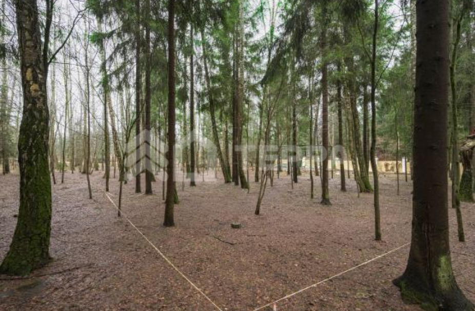 Объект ID 18396 - Участок