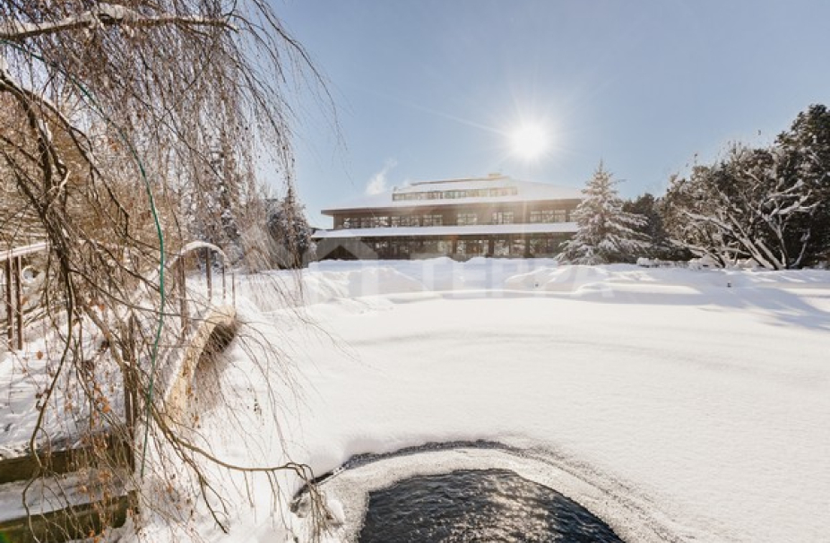 Объект ID 16568 - Дом