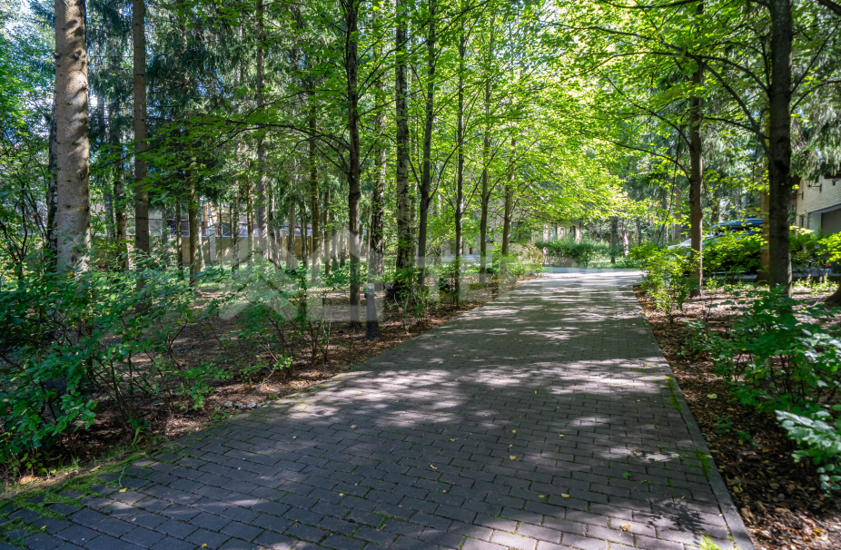 Объект ID 19134 - Участок