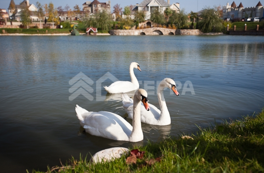 Объект ID 16754 - Дом