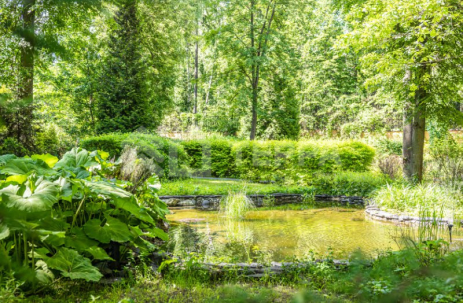 Объект ID 18831 - Дом