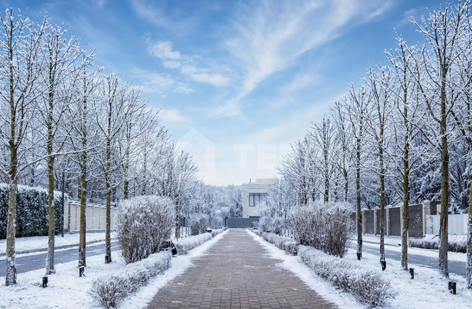 Объект ID 18986 - Дом