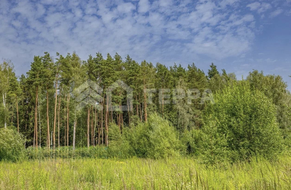 Объект ID 19099 - Участок