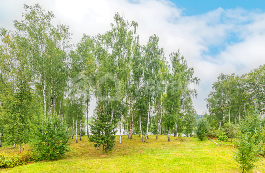 Объект ID 16637 - Дом