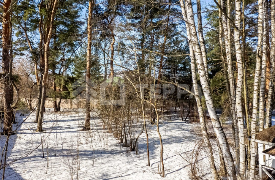 Объект ID 19160 - Участок