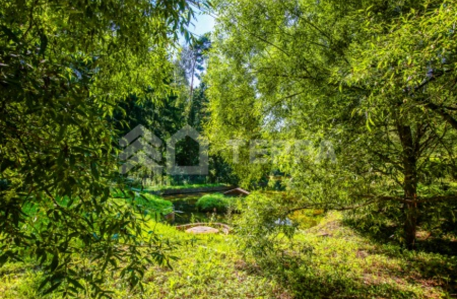 Объект ID 18666 - Дом