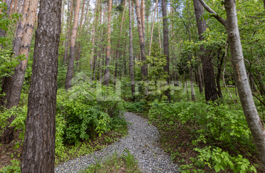 Объект ID 15816 - Дом