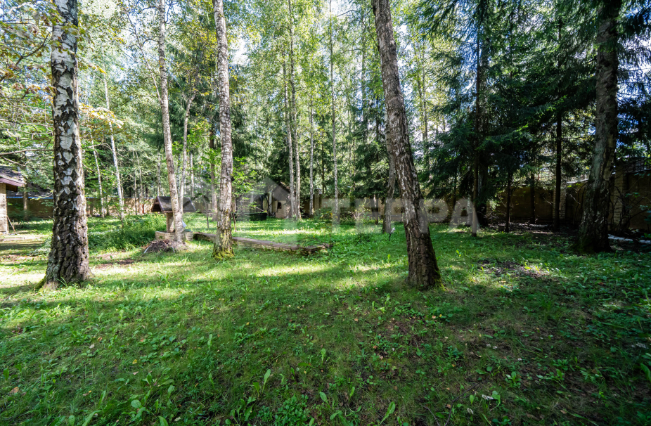 Объект ID 19134 - Участок