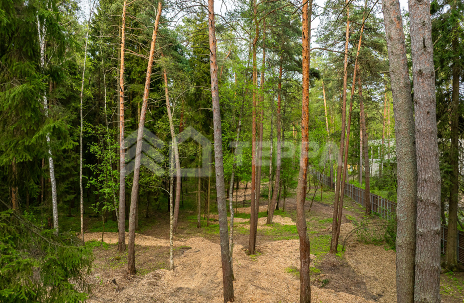 Объект ID 18575 - Участок