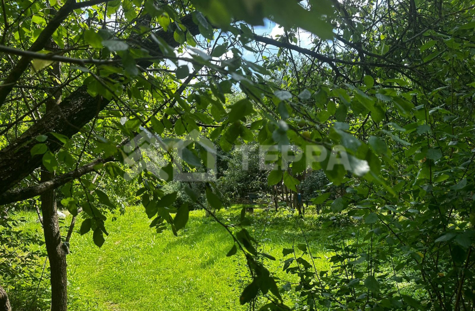 Объект ID 17735 - Участок