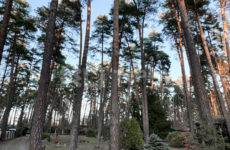 Объект ID 3997 - Дом