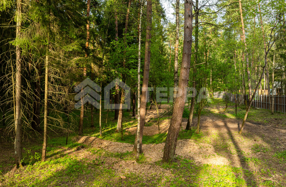 Объект ID 18575 - Участок