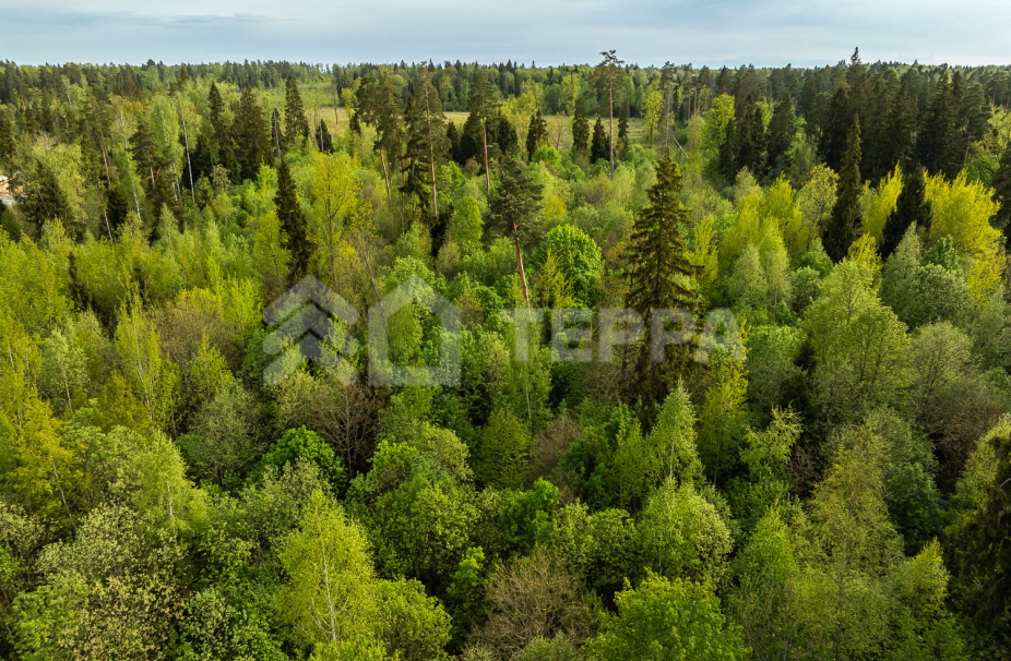 Объект ID 18567 - Участок