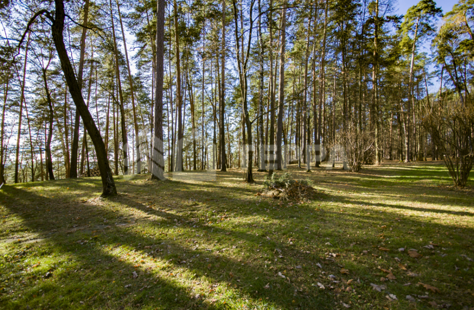 Объект ID 18287 - Участок