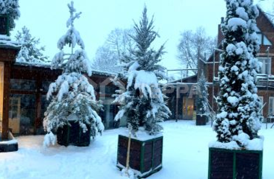 Объект ID 17750 - Дом