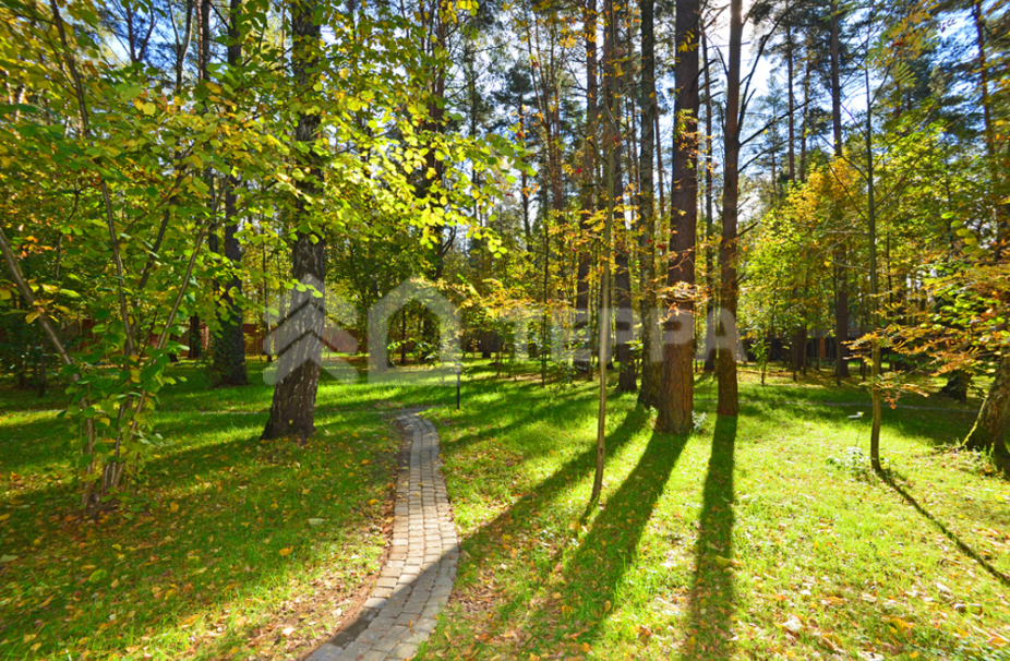 Объект ID 9746 - Дом