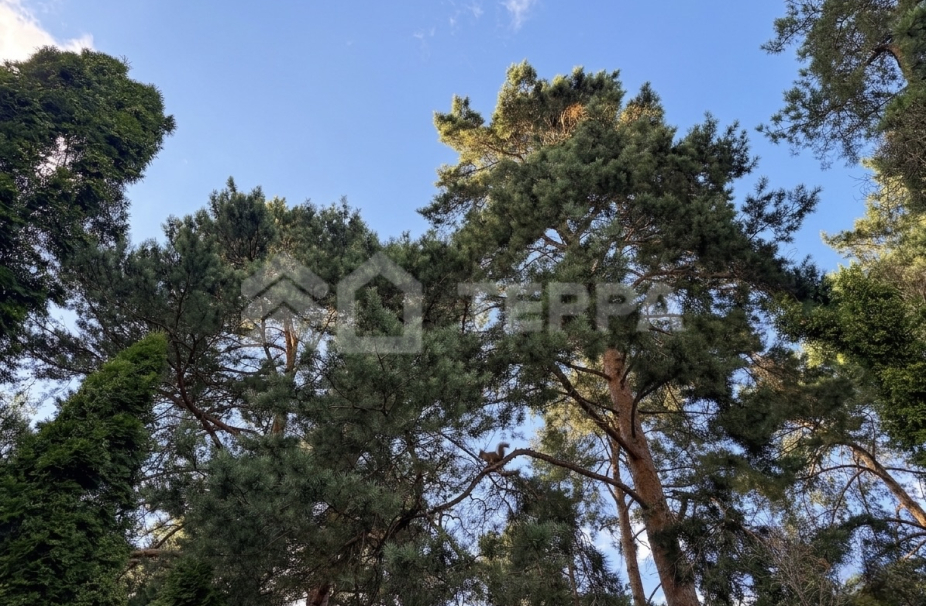 Объект ID 19378 - Дом