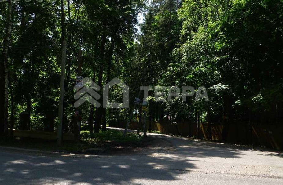 Мичуринец ДСК