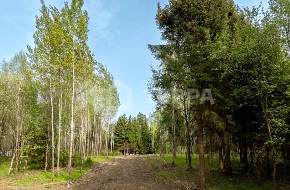 Объект ID 18568 - Участок