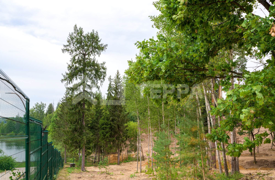 Объект ID 18046 - Участок