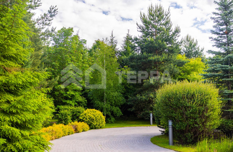 Объект ID 19155 - Участок