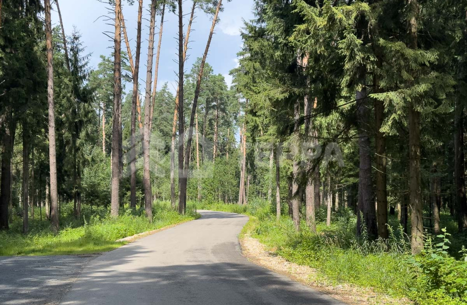 Объект ID 18657 - Дом