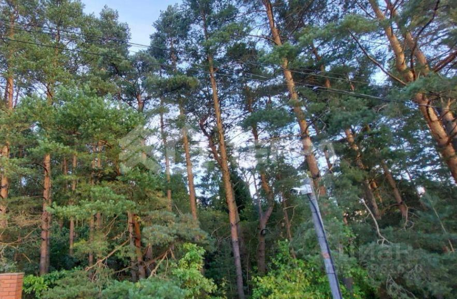 Объект ID 18303 - Участок