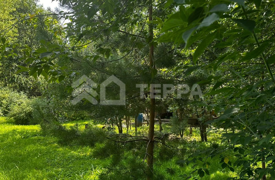 Объект ID 17735 - Участок