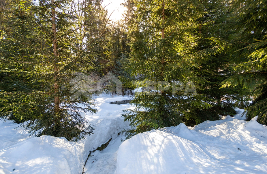 Объект ID 16612 - Дом