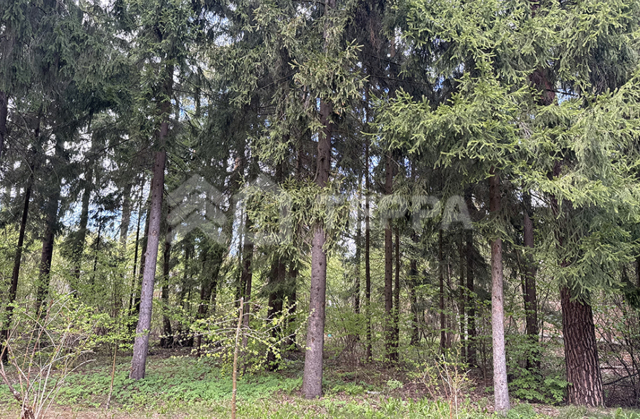 Объект ID 18595 - Дом