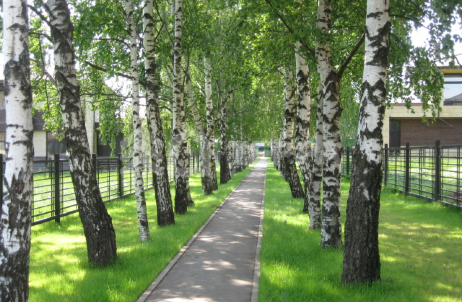 Объект ID 9893 - Дом