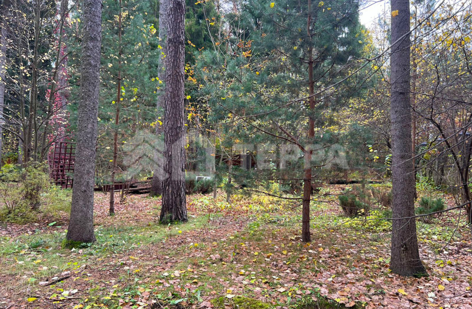 Объект ID 18445 - Участок