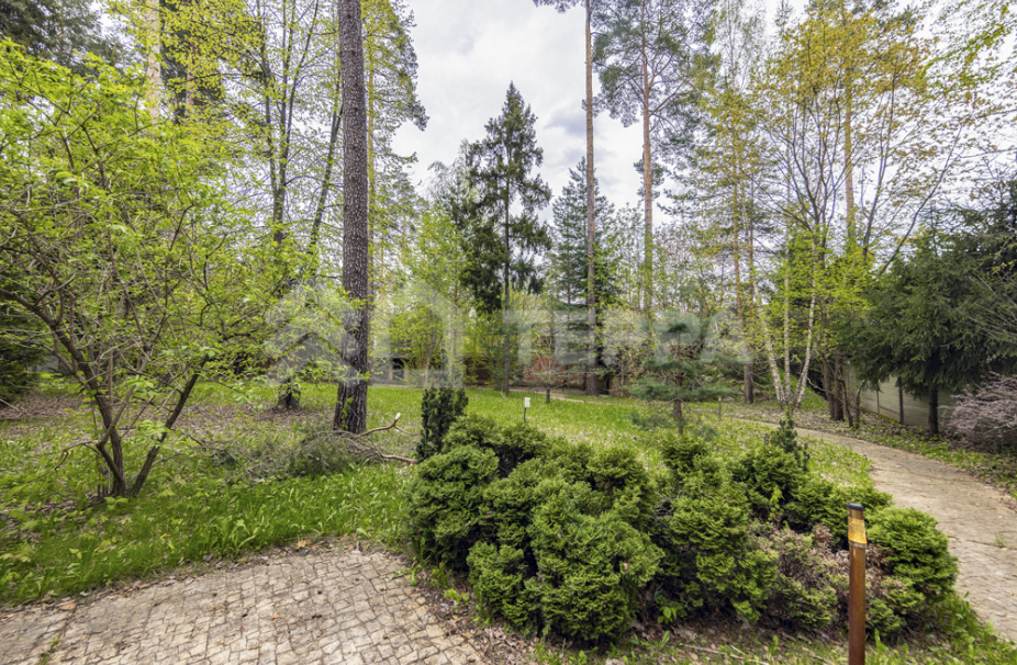 Объект ID 18815 - Участок