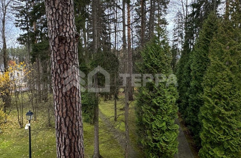 Объект ID 18250 - Дом