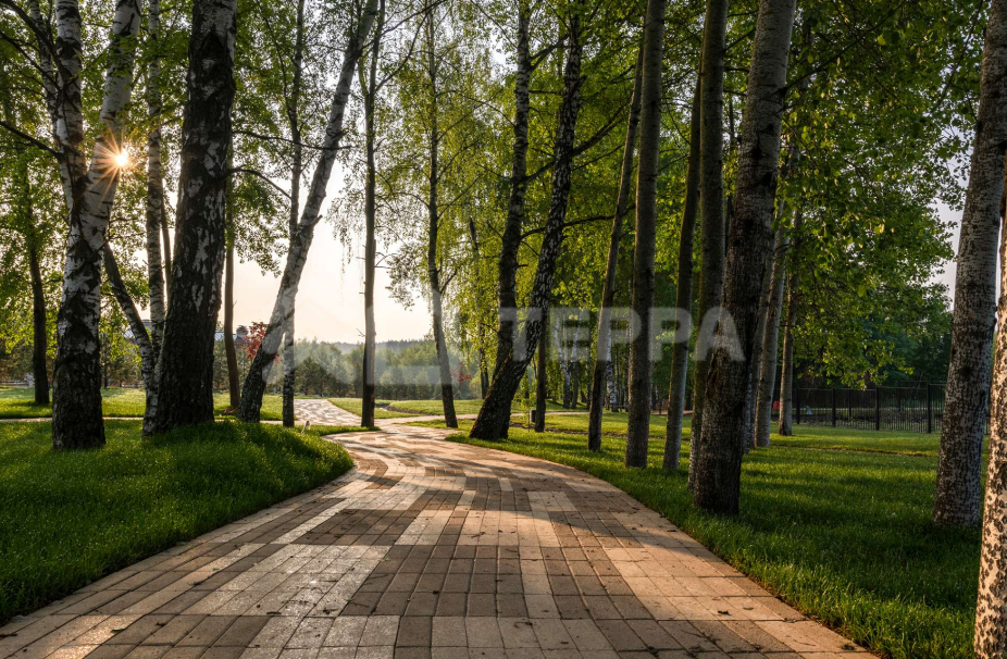 Объект ID 18143 - Таунхаус