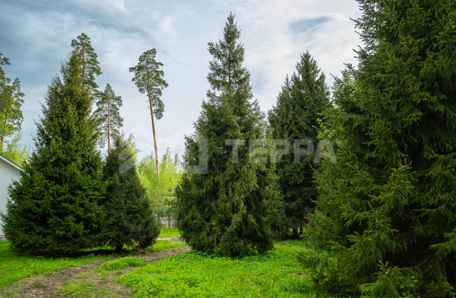 Объект ID 18571 - Участок