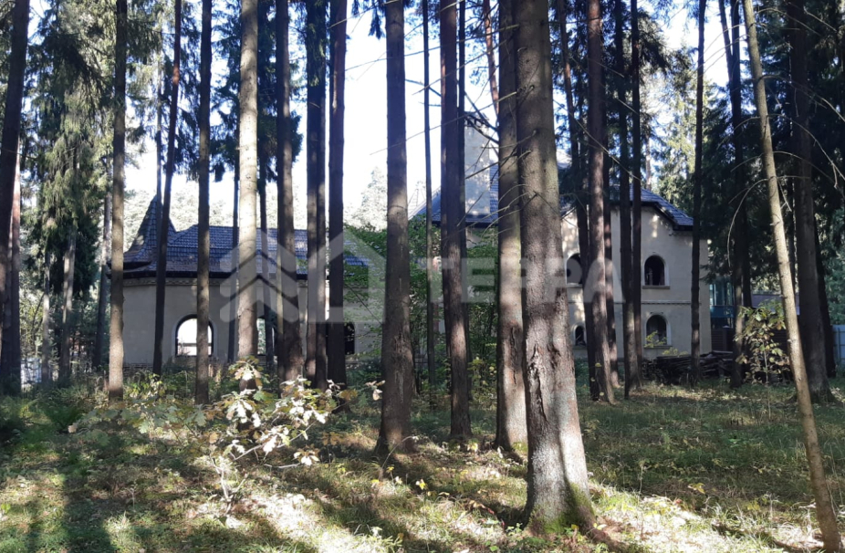 Объект ID 9291 - Участок