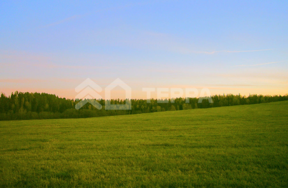 Истринские усадьбы