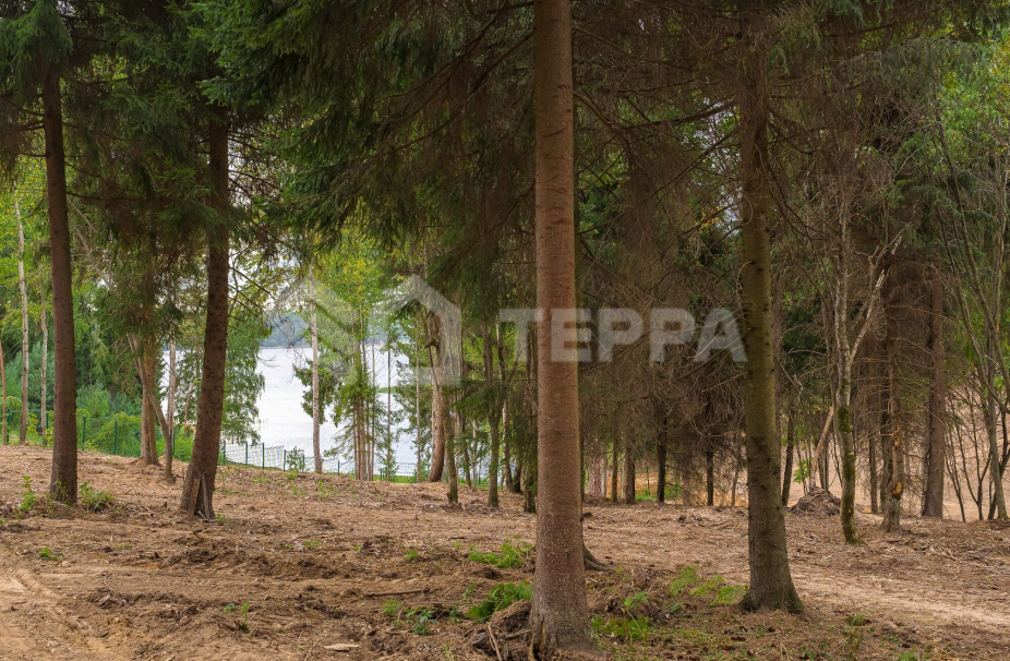 Объект ID 18046 - Участок