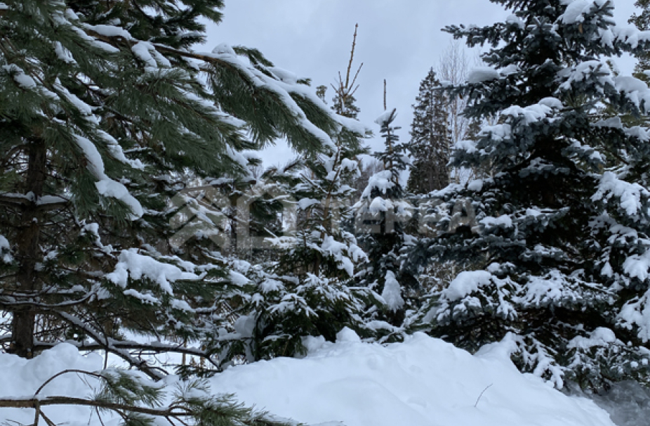 Объект ID 16789 - Участок