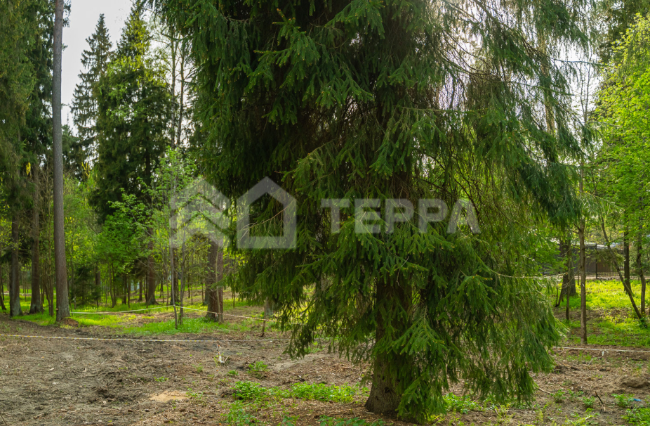 Объект ID 18569 - Участок