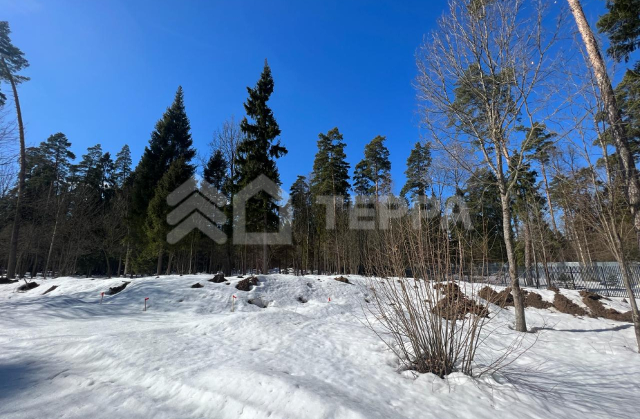 Объект ID 17962 - Участок